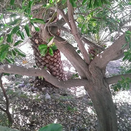 Semesterbostad Shangri-la Milna (Hvar)